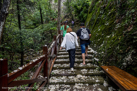 三折瀑景区旅游景点攻略图