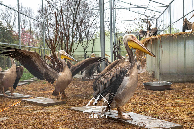 潘安湖国家湿地公园图片