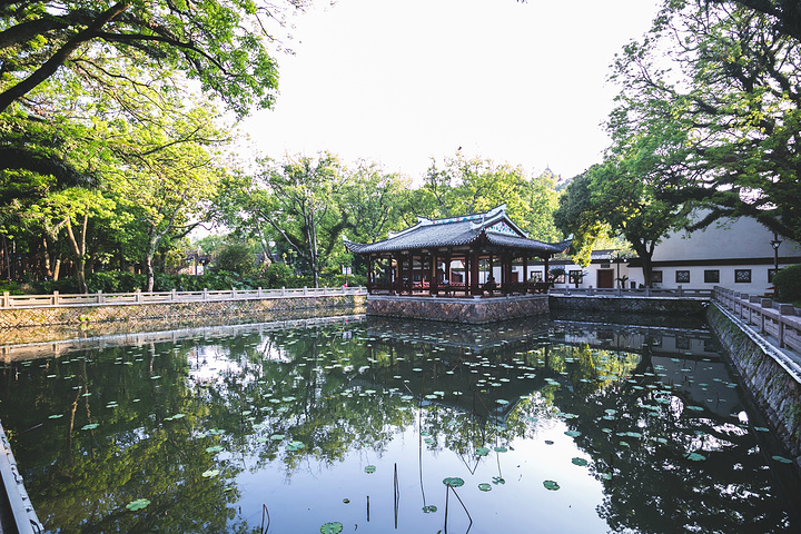 西湖公園不收門票,全年免費開放