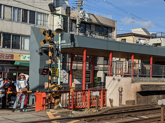 "...些鸟居也千篇一律，没有再深入的必要了，遂调头往回走，此刻那些写在鸟居背后的供奉人信息便显露出来_伏见稻荷大社"的评论图片