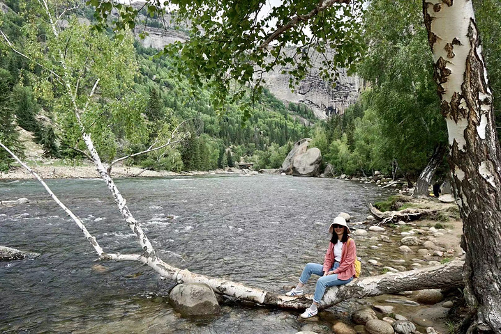 "一路上山，小溪的水流逐渐由平缓变得湍急，尤其是在瀑布沟附近。怎么也吹不掉的蒲公英:D_可可托海景区"的评论图片