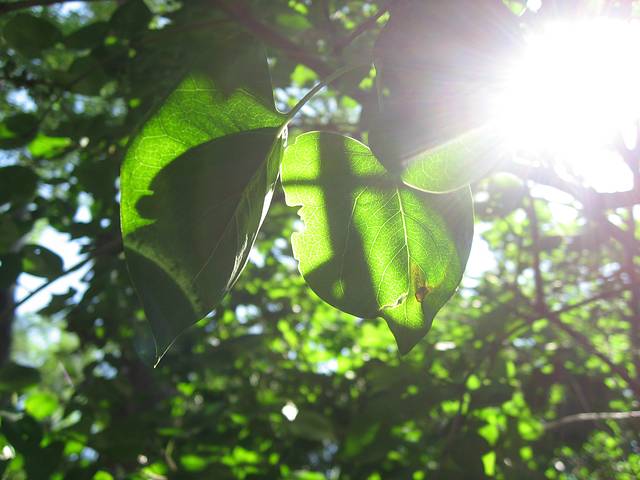 北山公园-揽月亭