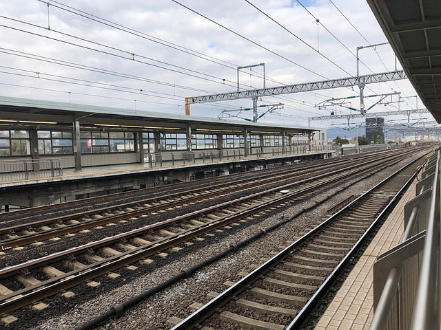 "而且列车来时自由席的车厢很空，完全不担心没有位置坐。日本的“高铁”站台_小田原站"的评论图片