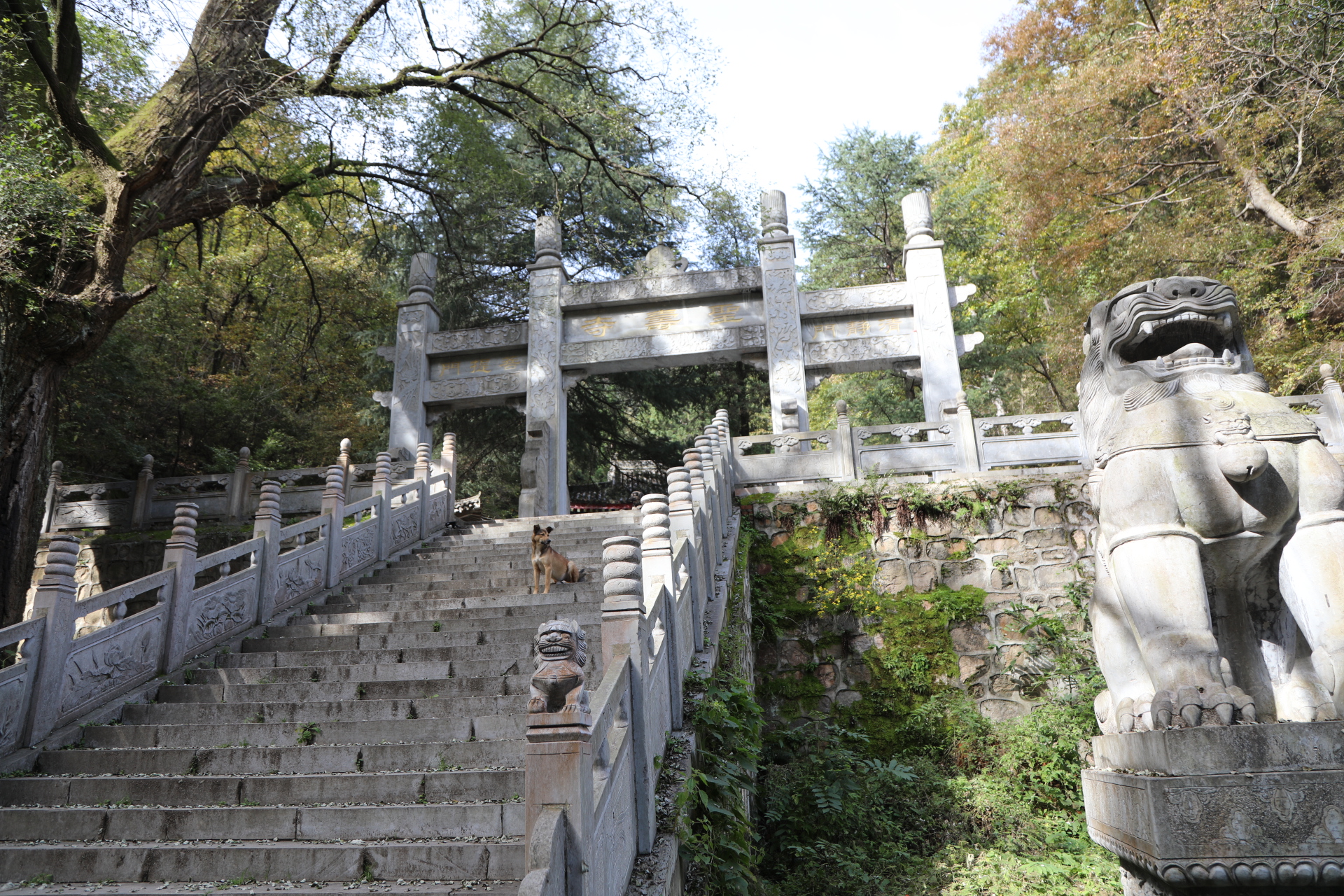 迎春纳福南五台，登高望远一年好景