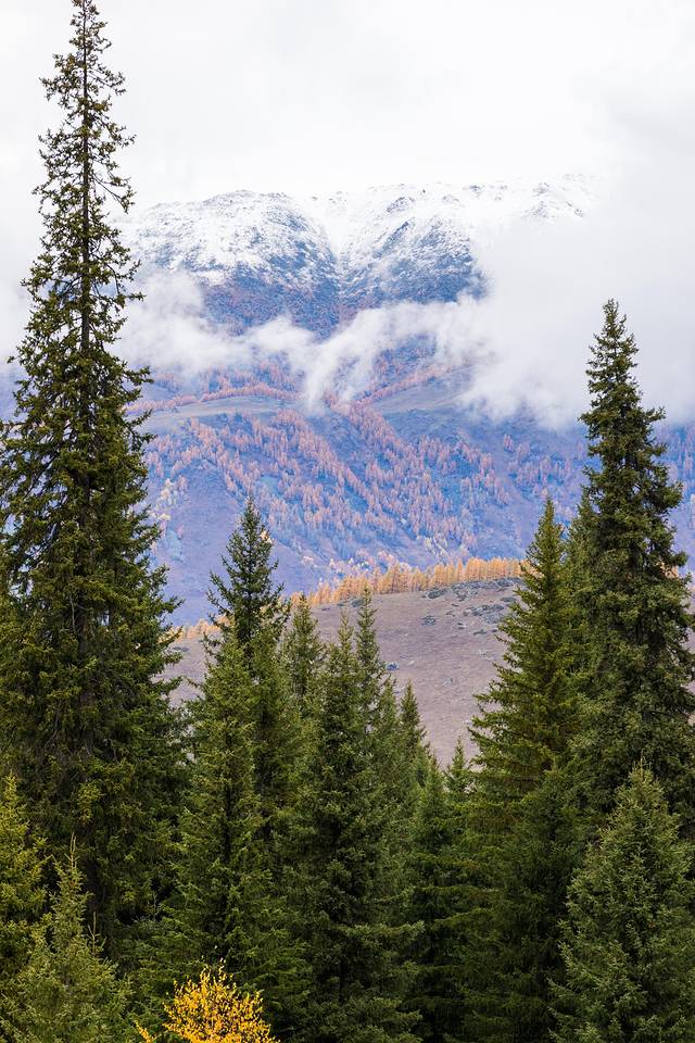 贾登峪国家森林公园