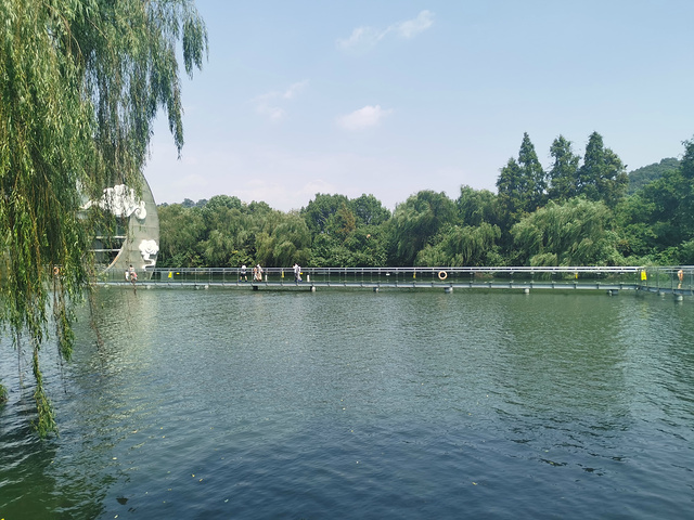 "到鉴湖景区以后就上了一个小岛叫“酒岛”，上面有一个玻璃栈道，是需要另外交费的，然后稀里糊涂走到..._鉴湖"的评论图片