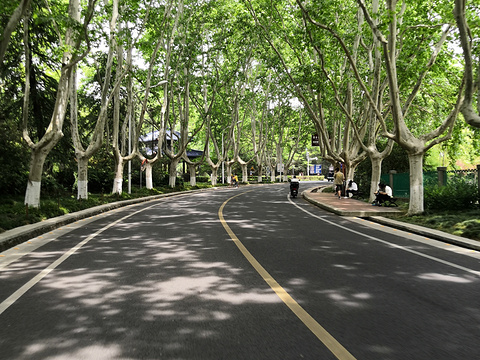 钟山风景名胜区旅游景点图片