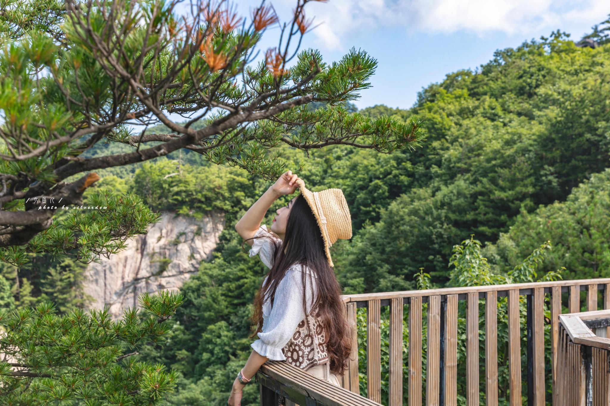 「避暑胜地」老界岭·体验21度的夏日凉爽：星空晚宴，森林木屋