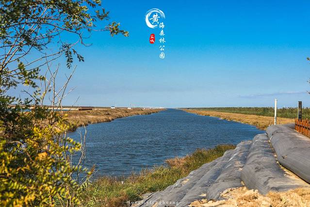 东台条子泥景区