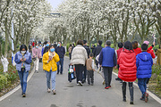 莫干山旅游景点攻略图片