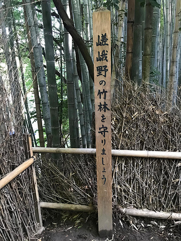 "岚山的范围其实很大，路牌上面的天龙寺和常寂光寺，景色都非常美，然而我们跟团的行程里不去。景区介绍_岚山嵯峨野观光小火车"的评论图片