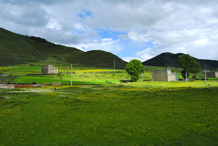 情色很美,丹巴—八美—塔公—新都桥一路的风景,网上都在说塔公一段比