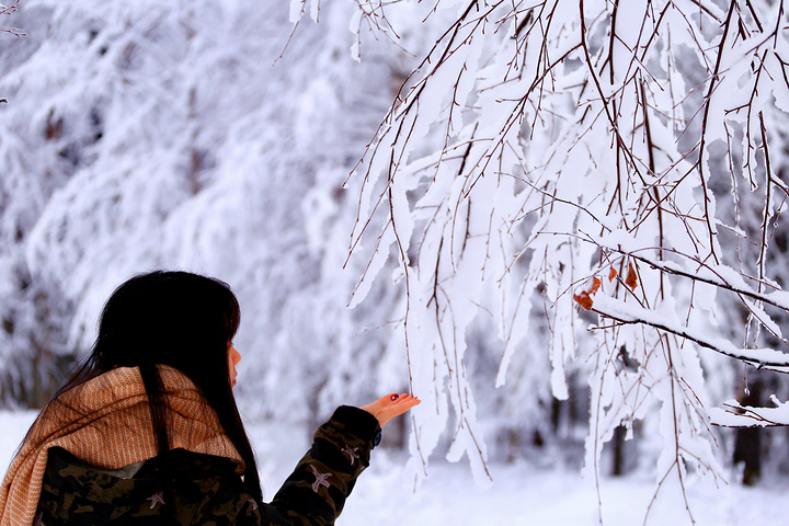 " 北极圈内的雪非常干燥，很难揉到一起，所以我们堆了个没脖子的雪人。给它戴上红帽子红围巾，一起过圣诞吧_萨利色尔卡山林小屋(Holidaystars Saariselkä)"的评论图片