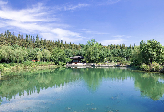 尚湖旅游景点图片