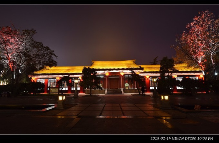 "夜景很漂亮，我也不会吟诗赋颂的，脑子里只有柳亚子的“火树银花”来形容，最贴切不过了_大雁塔文化休闲景区-南广场"的评论图片