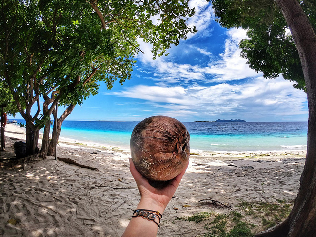 "其实在海水落潮最低点时，大马达京的西海岸还有两岛之间都是大片半干半湿的沙地，绵延了上千米，海鸟..._马达京岛"的评论图片