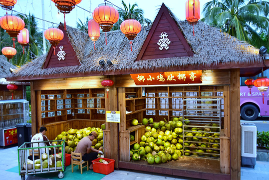 椰小鸡·椰子鸡(海天盛筵总店)旅游景点图片