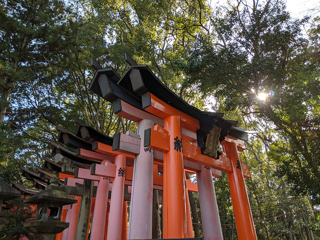 "...些鸟居也千篇一律，没有再深入的必要了，遂调头往回走，此刻那些写在鸟居背后的供奉人信息便显露出来_伏见稻荷大社"的评论图片