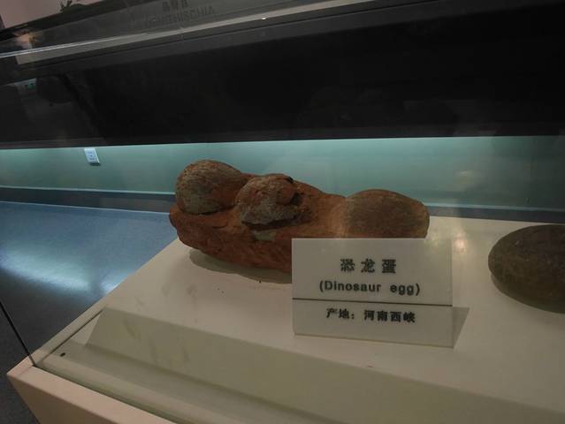 伊春地质博物馆