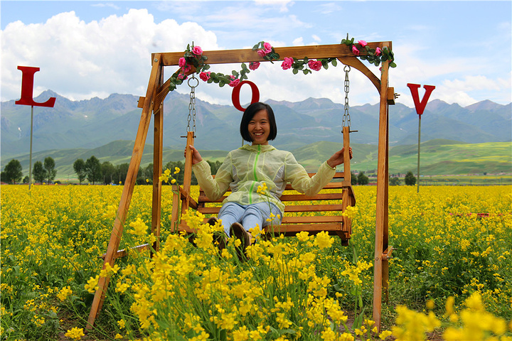 "门源万亩油菜花海是最早最出名的，关键在于身后的雪山，彼此相衬，美不胜收_门源百里油菜花海"的评论图片