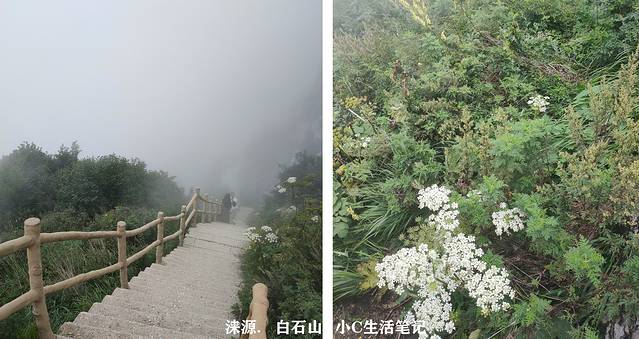 白石山世界地质公园博物馆