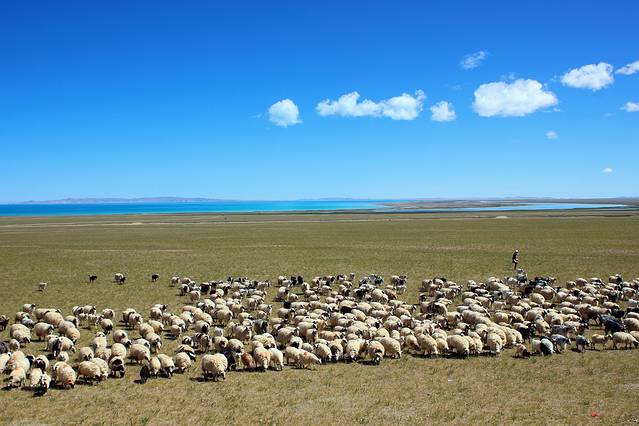 西藏色林错国家级自然保护区