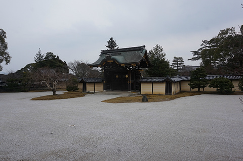 大觉寺旅游景点攻略图