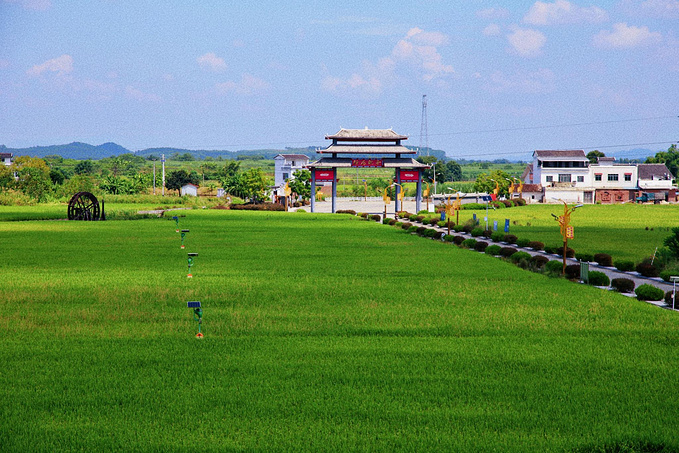 柳城县稻花飘香景区-仫佬寨民宿图片