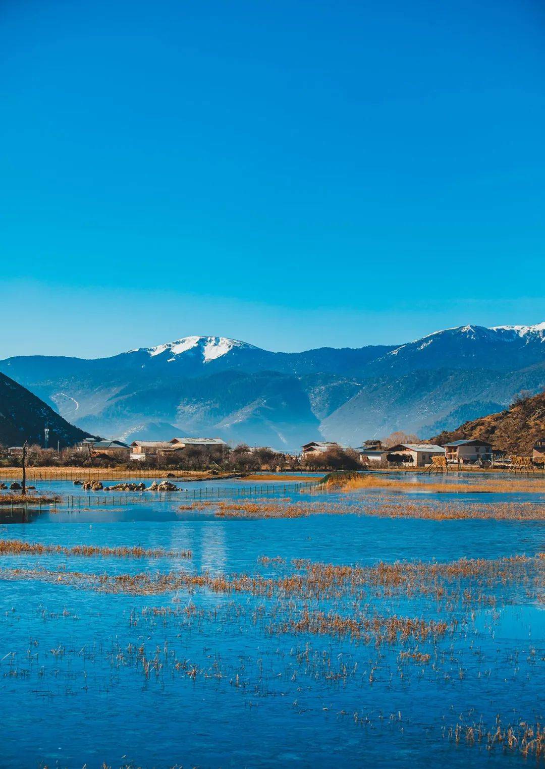 香格里拉纳帕海景区图片