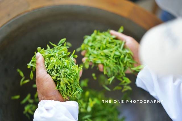 黄龙岘金陵茶文化旅游村
