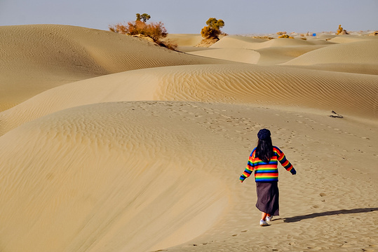 塔克拉玛干沙漠（阿克苏）旅游景点图片
