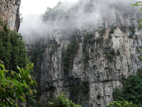 天生三桥景区-玻璃观景眺台旅游景点图片