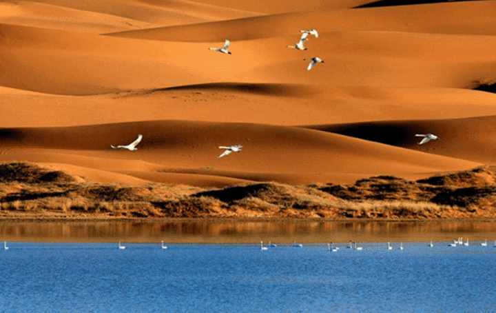 "景色非常的美，无边的浩瀚沙漠，湛蓝清透的天然湖泊，结束沙漠穿越后就可以返回银川市区，结束此次的..._腾格里沙漠"的评论图片