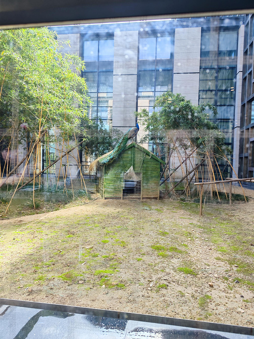 花果山酒店·早餐图片