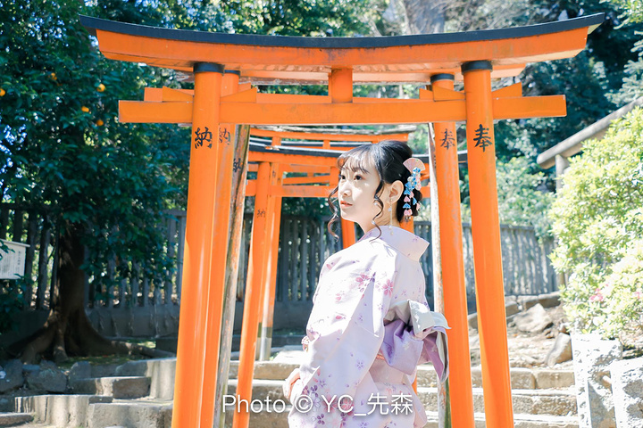 "至于和服的拍摄地，这次我们没有选择千篇一律的浅草寺，也没有图省事儿去上野公园，而是选择了小众的..._根津神社"的评论图片