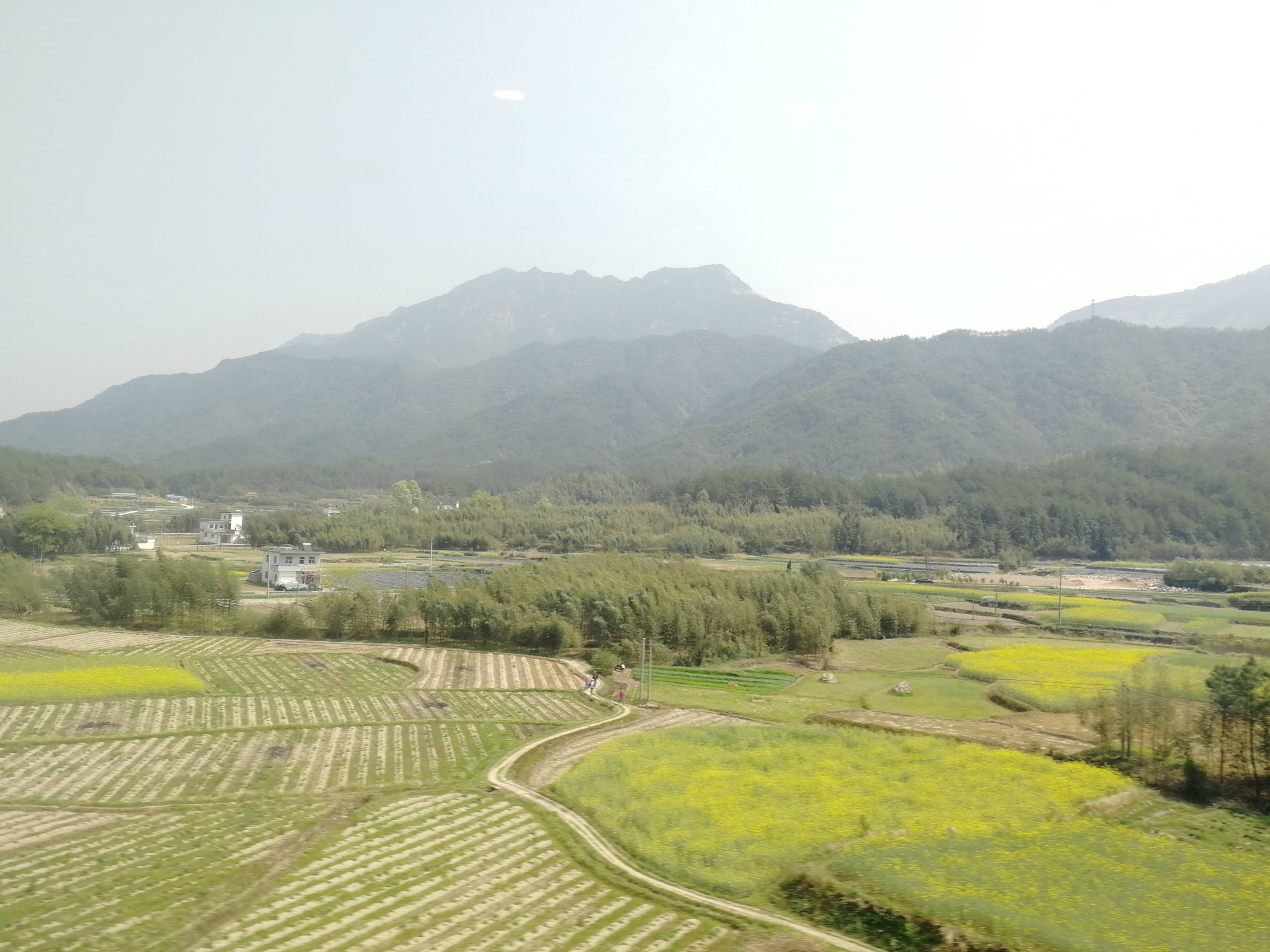 婺源油菜花亲子游