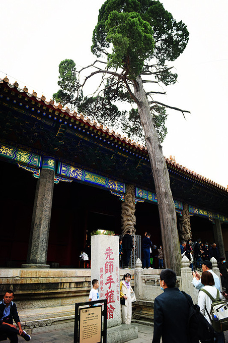 山东曲阜三孔·孔林孔府孔庙