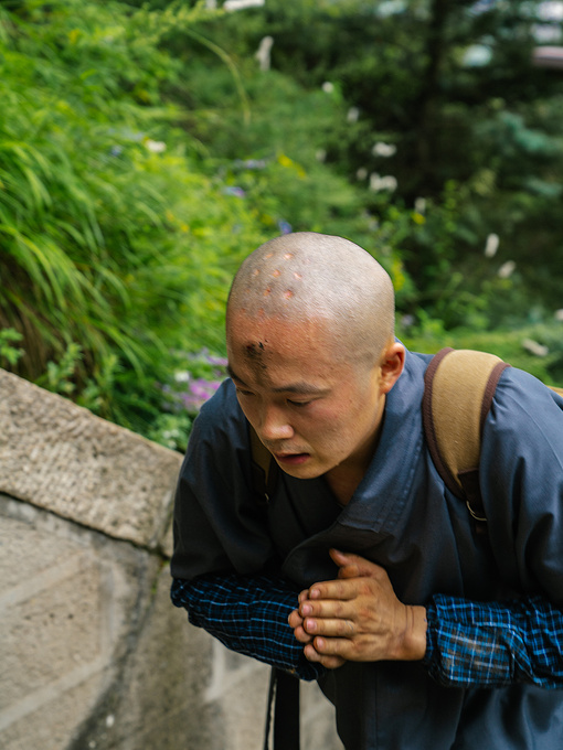 清凉山上佛法僧山西忻州天地人3天2晚晋北游