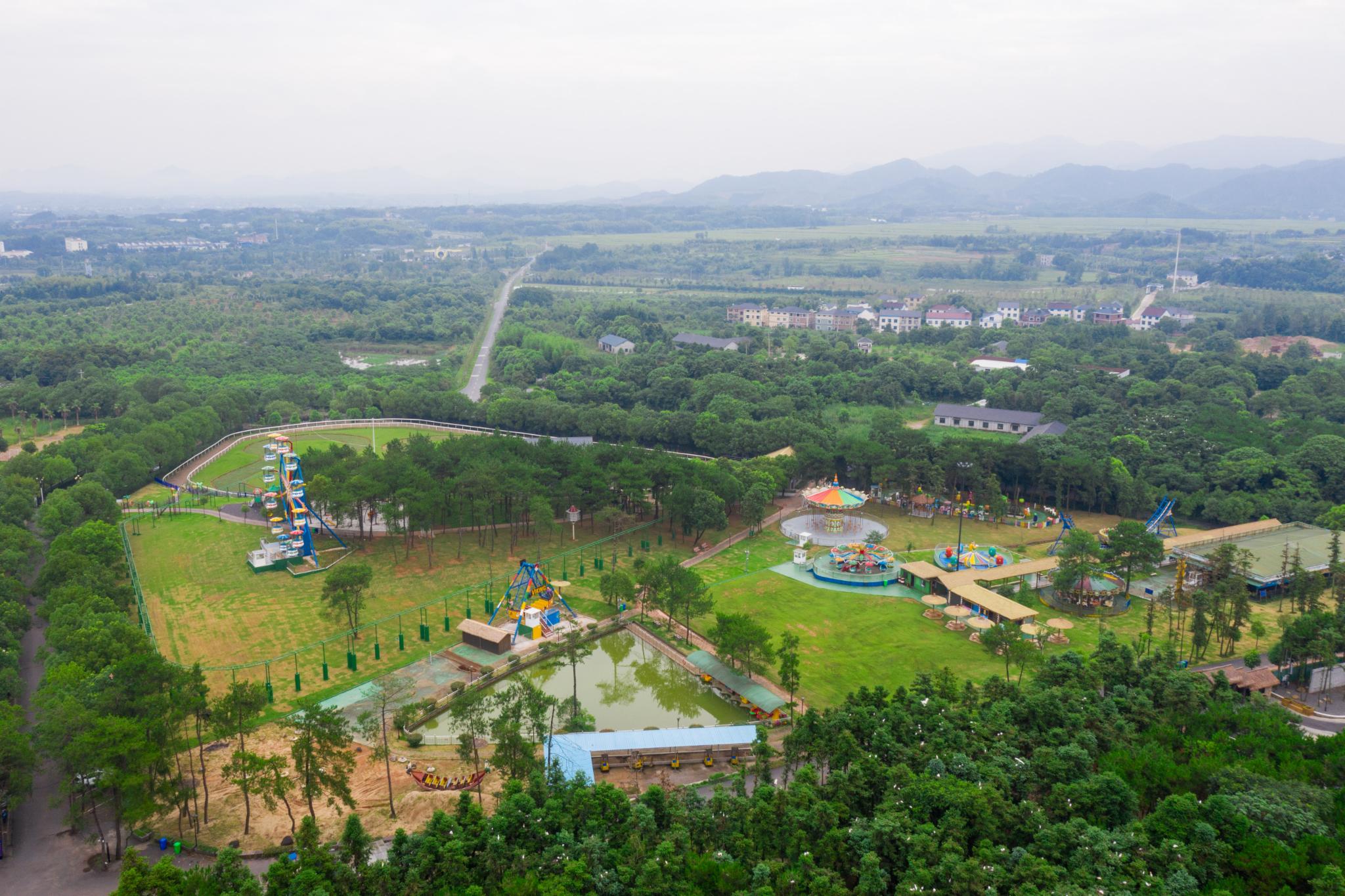 这个盛夏，来一场姑蔑城生态园说走就走的度假之旅