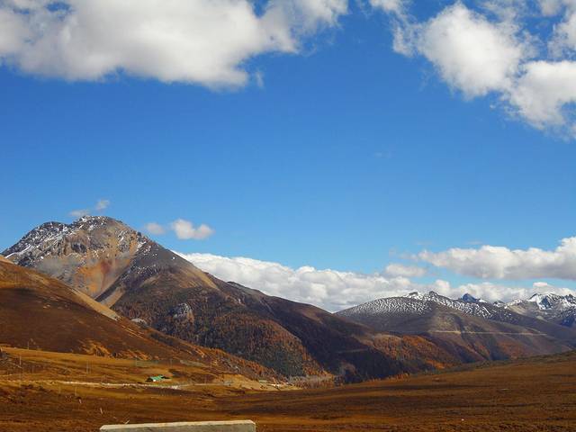 白马雪山观景台