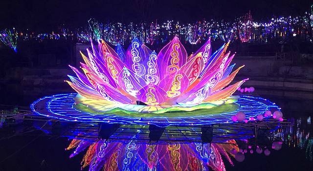 泰甜蜜之二刷泰国之旅!