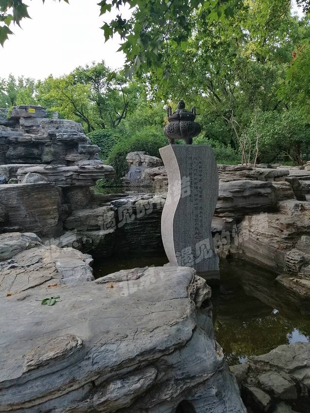 地坛公园银杏大道