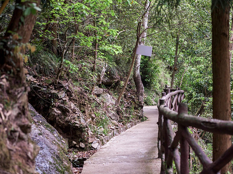 灵江源景区旅游景点图片