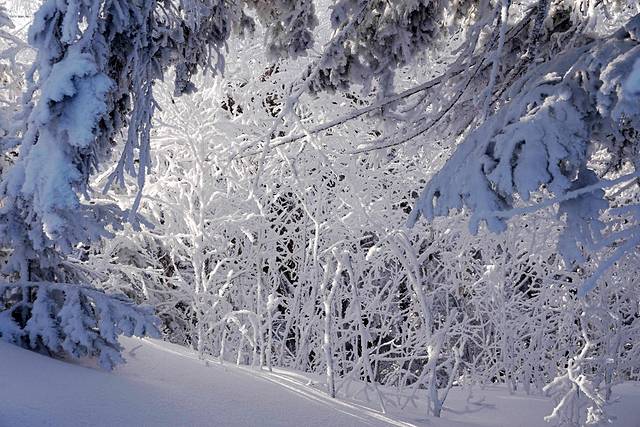 北大湖滑雪度假区