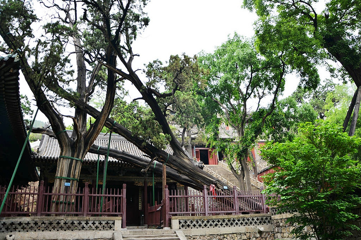 "太原市晋祠，中国现存最早的皇家园林，可以说是去太原的必打卡之地。殿内供奉着四十三尊彩塑_晋祠博物馆"的评论图片