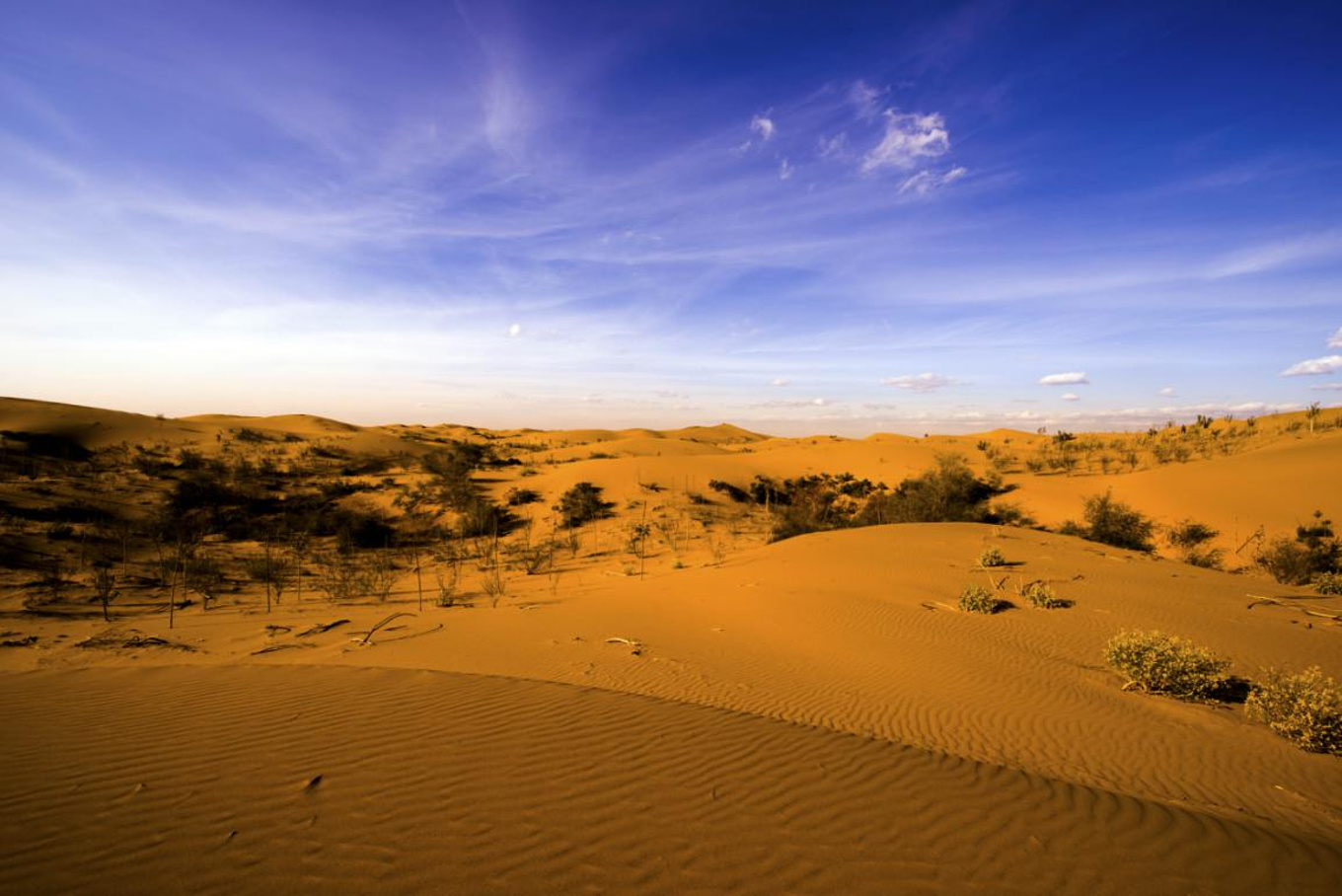 去库布其七星湖沙漠，探索不一样的金沙世界！-库布齐沙漠旅游攻略-游记-去哪儿攻略