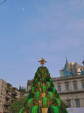 "这里已经张灯结彩了，美丽的圣诞树还有写着“圣诞快乐新年进步”的牌坊装饰着这片美丽的土地_议事亭前地"的评论图片