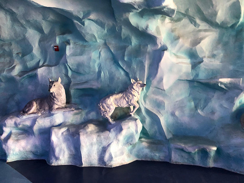 冰山北极馆旅游景点图片
