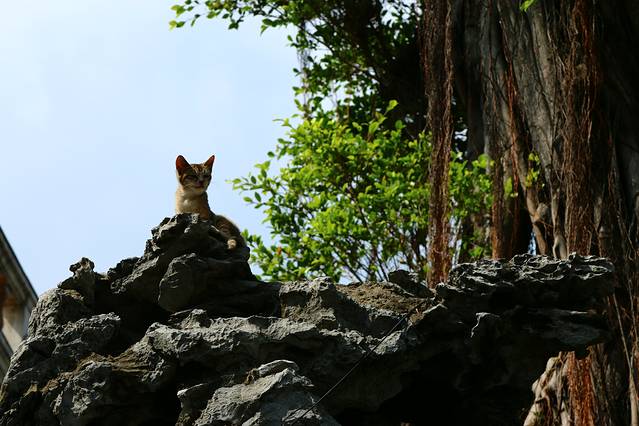 荔湾涌西关大屋