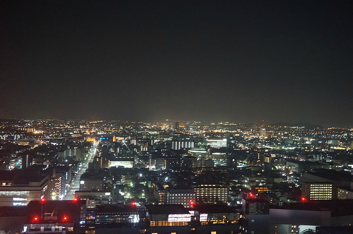 "展望费770日元，不过在日本你如果有其他登高夜景行程，建议选一个就好，我这一趟最喜欢的还是大阪的夜景_京都塔"的评论图片
